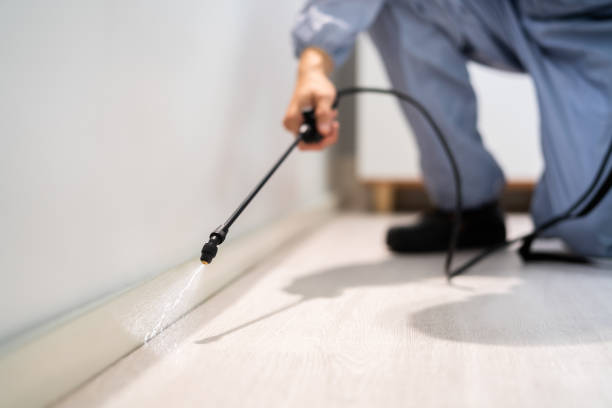 Flea Control Services in Smoke Rise, AL