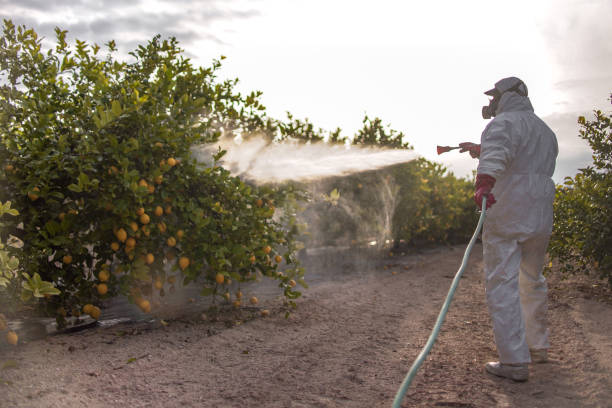Best Pest Removal Services  in Smoke Rise, AL