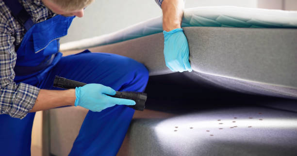 Best Pest Control Near Me in Smoke Rise, AL